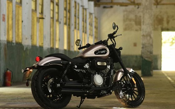 Neufahrzeug Benda Chinchilla 300 - Bild 8