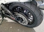 Angebot Benda Chinchilla 125