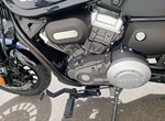 Angebot Benda Chinchilla 125