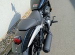 Angebot Benda Chinchilla 125