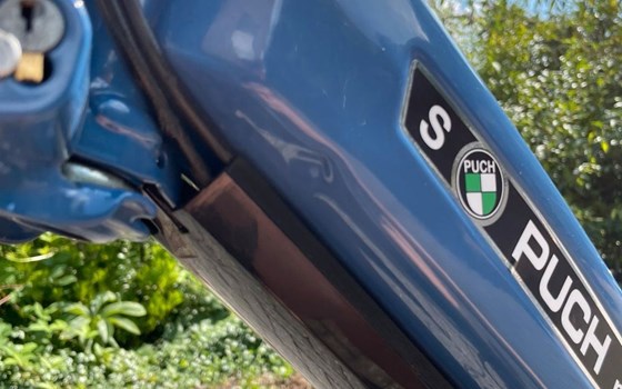 Gebrauchtmotorrad Puch Maxi - Bild 3