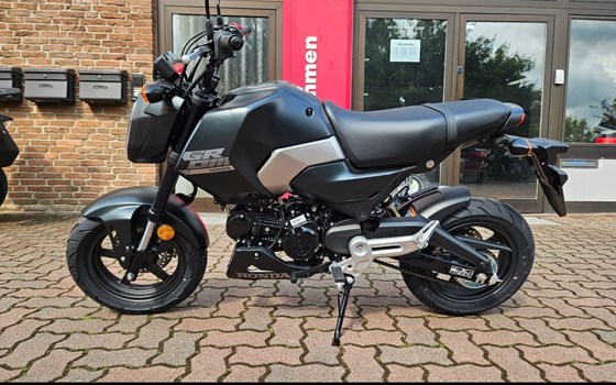 Neufahrzeug Honda MSX125 Grom - Bild 1