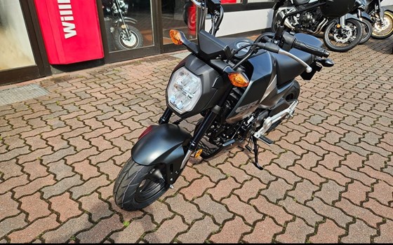 Neufahrzeug Honda MSX125 Grom - Bild 2