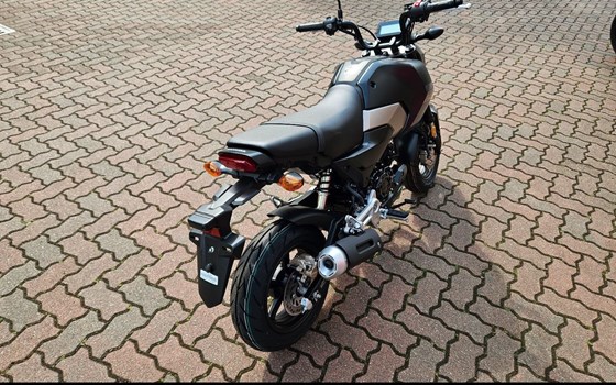 Neufahrzeug Honda MSX125 Grom - Bild 3