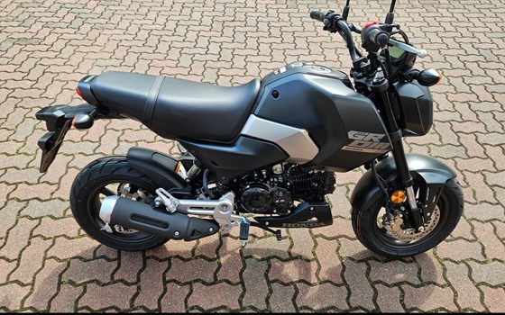 Neufahrzeug Honda MSX125 Grom - Bild 4