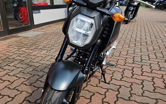 Neufahrzeug Honda MSX125 Grom - Bild 5