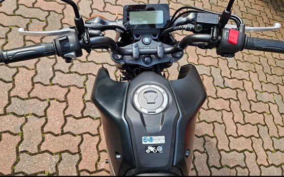 Neufahrzeug Honda MSX125 Grom - Bild 6
