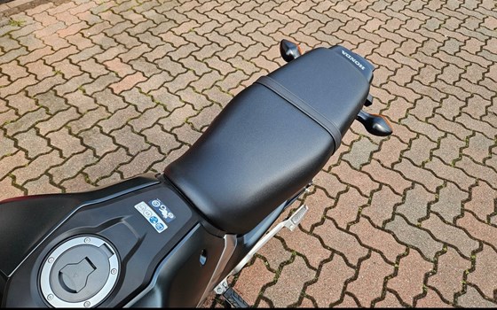 Neufahrzeug Honda MSX125 Grom - Bild 7