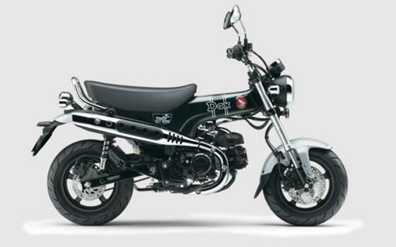 Neufahrzeug Honda Dax 125 - Bild 1