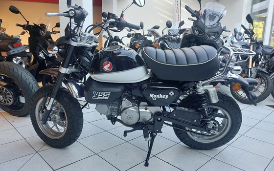 Gebrauchtmotorrad Honda Monkey - Bild 1