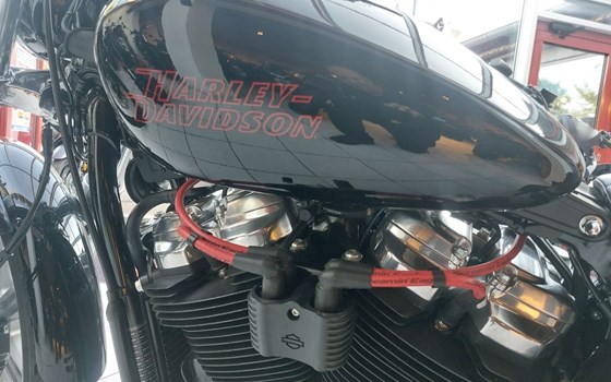 Gebrauchtmotorrad Harley-Davidson Softail Street Bob FXBB - Bild 7