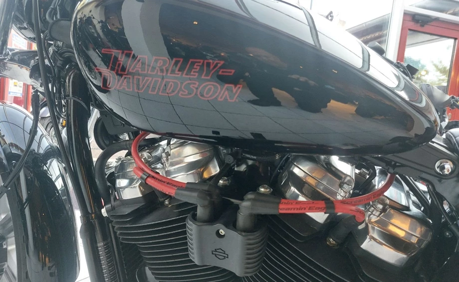 Offer Harley-Davidson Softail Standard FXST Bild 7: Offer Harley-Davidson Softail Standard FXST
