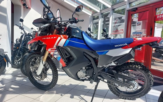 Neufahrzeug Honda CRF300 Rally - Bild 1