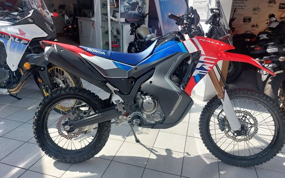 Neufahrzeug Honda CRF300 Rally - Bild 2