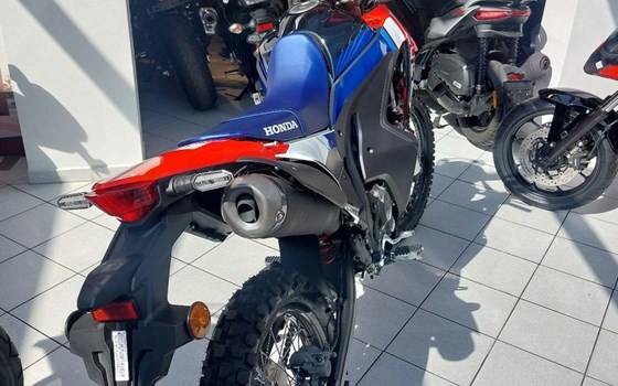 Neufahrzeug Honda CRF300 Rally - Bild 5