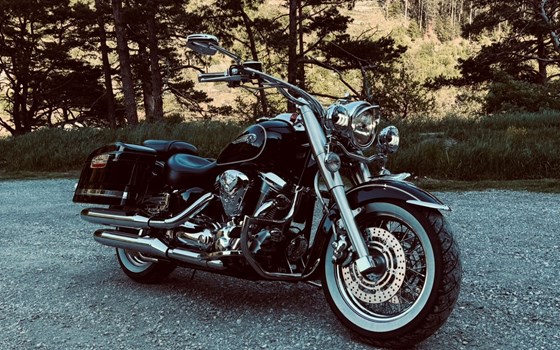 Gebrauchtmotorrad Yamaha XV 1600 Wild Star - Bild 1 Gebrauchtmotorrad Yamaha XV 1600 Wild Star - Bild 1
