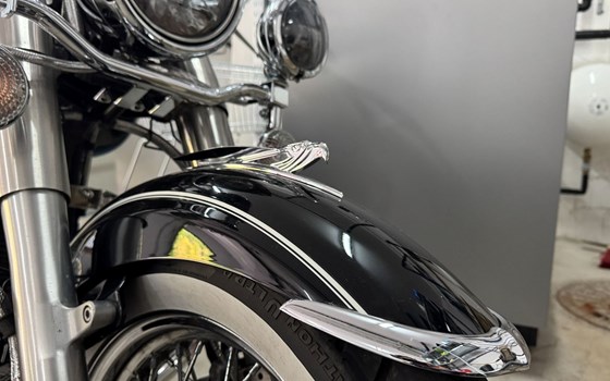 Gebrauchtmotorrad Yamaha XV 1600 Wild Star - Bild 7 Gebrauchtmotorrad Yamaha XV 1600 Wild Star - Bild 7