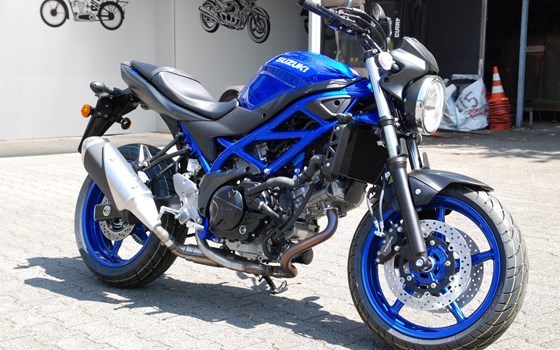 Neufahrzeug Suzuki SV650 - Bild 2