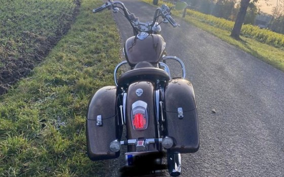 Gebrauchtmotorrad Honda VT 1100 C3 Aero-Ace Shadow - Bild 3