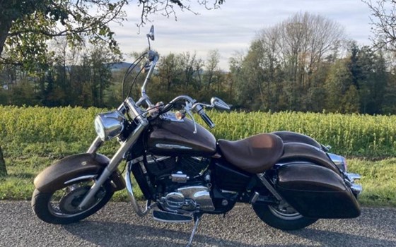 Gebrauchtmotorrad Honda VT 1100 C3 Aero-Ace Shadow - Bild 4 Gebrauchtmotorrad Honda VT 1100 C3 Aero-Ace Shadow - Bild 4