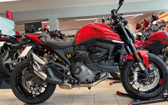 Neufahrzeug Ducati Monster - Bild 1