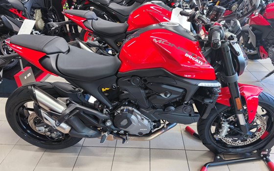 Neufahrzeug Ducati Monster - Bild 3