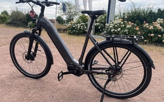 Neufahrzeug Raymon Tourray Select - Bild 8