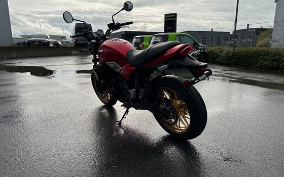 Neufahrzeug Kawasaki Z650 RS - Bild 5