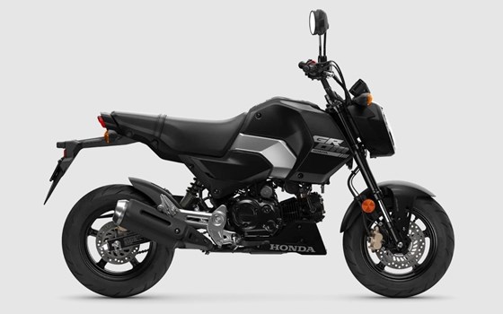 Neufahrzeug Honda MSX125 Grom - Bild 1