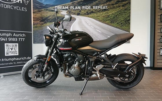 Neufahrzeug Triumph Trident 660 - Bild 6