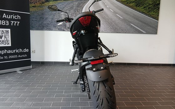 Neufahrzeug Triumph Trident 660 - Bild 8