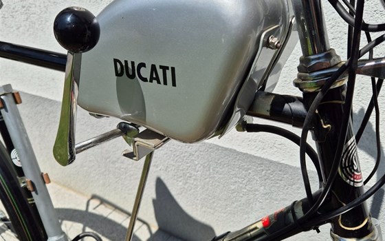 Gebrauchtmotorrad Ducati Cucciolo - Bild 5 Gebrauchtmotorrad Ducati Cucciolo - Bild 5