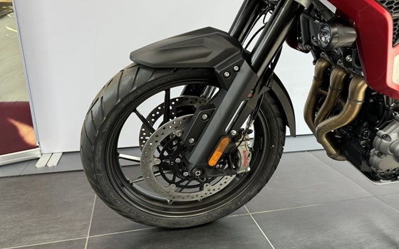 Neufahrzeug Triumph Tiger 1200 GT PRO - Bild 5