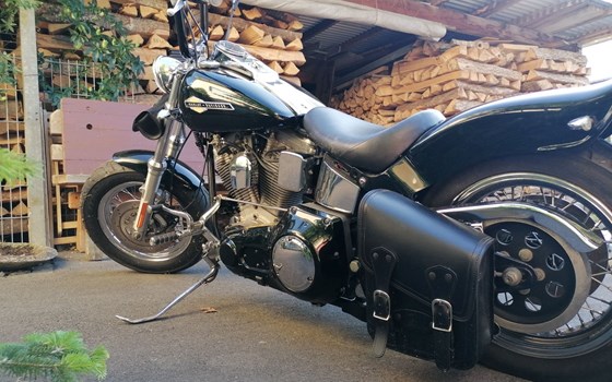 Gebrauchtmotorrad Harley-Davidson Softail Standard FXST - Bild 2 Gebrauchtmotorrad Harley-Davidson Softail Standard FXST - Bild 2