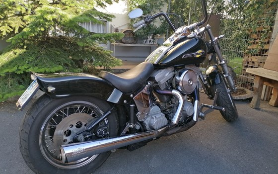 Gebrauchtmotorrad Harley-Davidson Softail Standard FXST - Bild 8 Gebrauchtmotorrad Harley-Davidson Softail Standard FXST - Bild 8