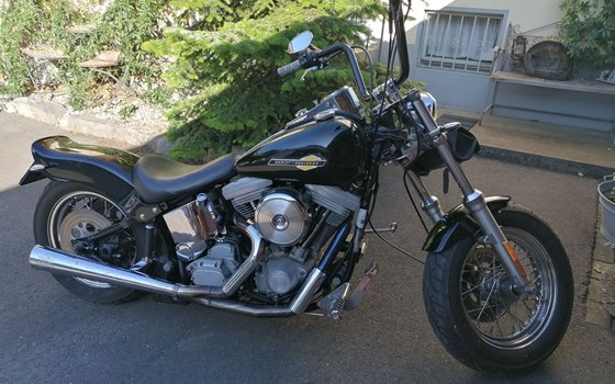 Gebrauchtmotorrad Harley-Davidson Softail Standard FXST - Bild 9 Gebrauchtmotorrad Harley-Davidson Softail Standard FXST - Bild 9