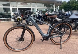 Neumotorrad Scott Axis