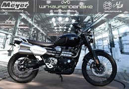 Gebrauchte Triumph Scrambler 1200 X
