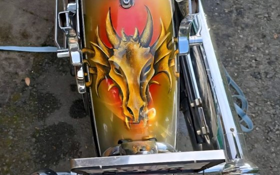 Gebrauchtmotorrad Yamaha XV 1600 Wild Star - Bild 10 Gebrauchtmotorrad Yamaha XV 1600 Wild Star - Bild 10