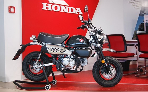 Neufahrzeug Honda Monkey 125 - Bild 2