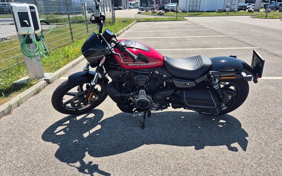 Gebrauchtmotorrad Harley-Davidson Nightster - Bild 1 Gebrauchtmotorrad Harley-Davidson Nightster - Bild 1