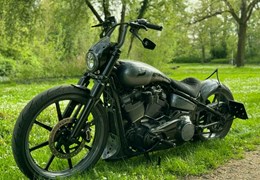 Gebrauchte Harley-Davidson Softail Street Bob FXBB