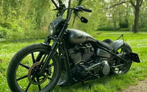 Gebrauchtmotorrad Harley-Davidson Softail Street Bob FXBB - Bild 1