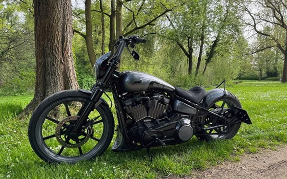 Gebrauchtmotorrad Harley-Davidson Softail Street Bob FXBB - Bild 3