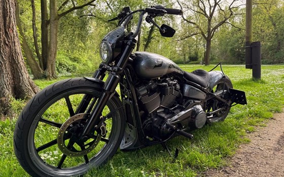 Gebrauchtmotorrad Harley-Davidson Softail Street Bob FXBB - Bild 4