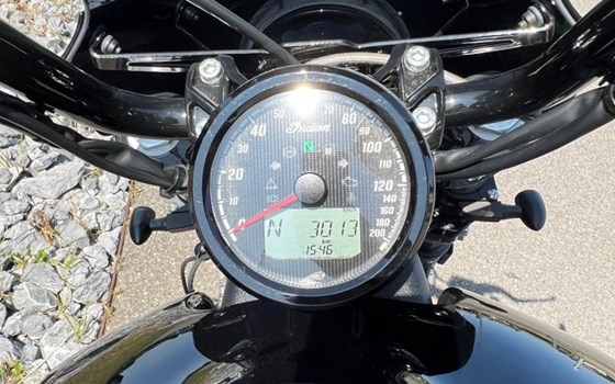 Motorrad Occasion Indian Scout Rogue - Bild 7