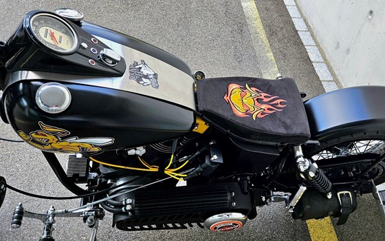 Offerta Harley-Davidson Custom Bike - Immagine 11