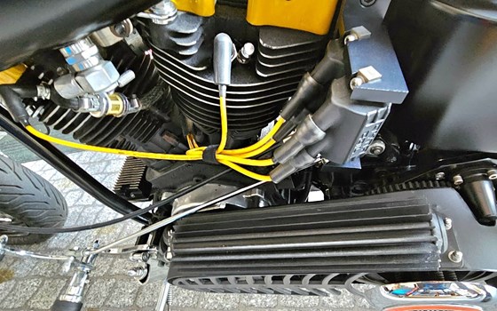 Offerta Harley-Davidson Custom Bike - Immagine 15