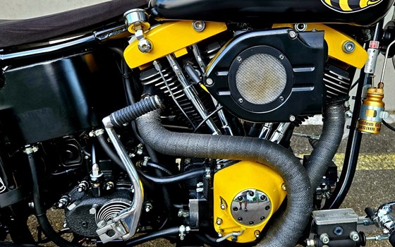 Offerta Harley-Davidson Custom Bike - Immagine 7