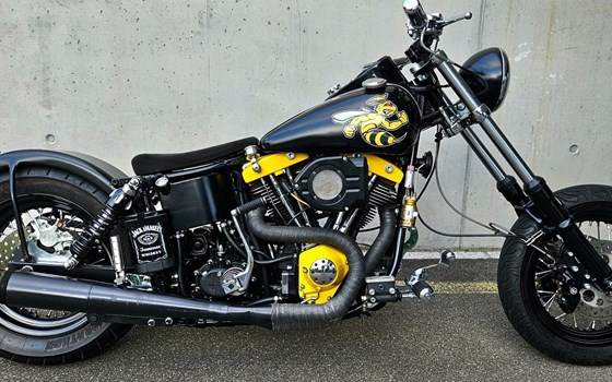 Offerta Harley-Davidson Custom Bike - Immagine 8